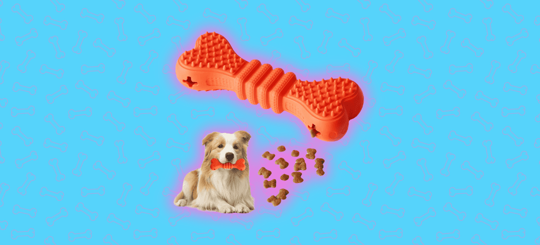 Treat-Dispensing Toys Your Dog Will Love