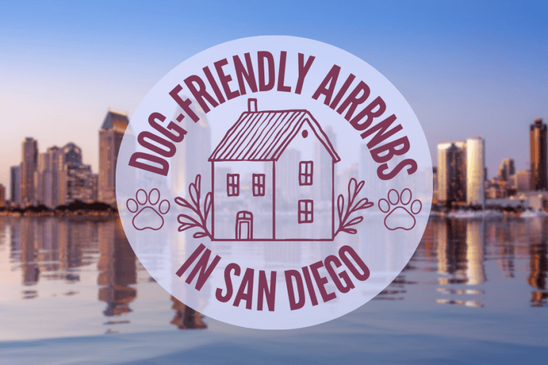 Dog-Friendly Airbnbs in San Diego