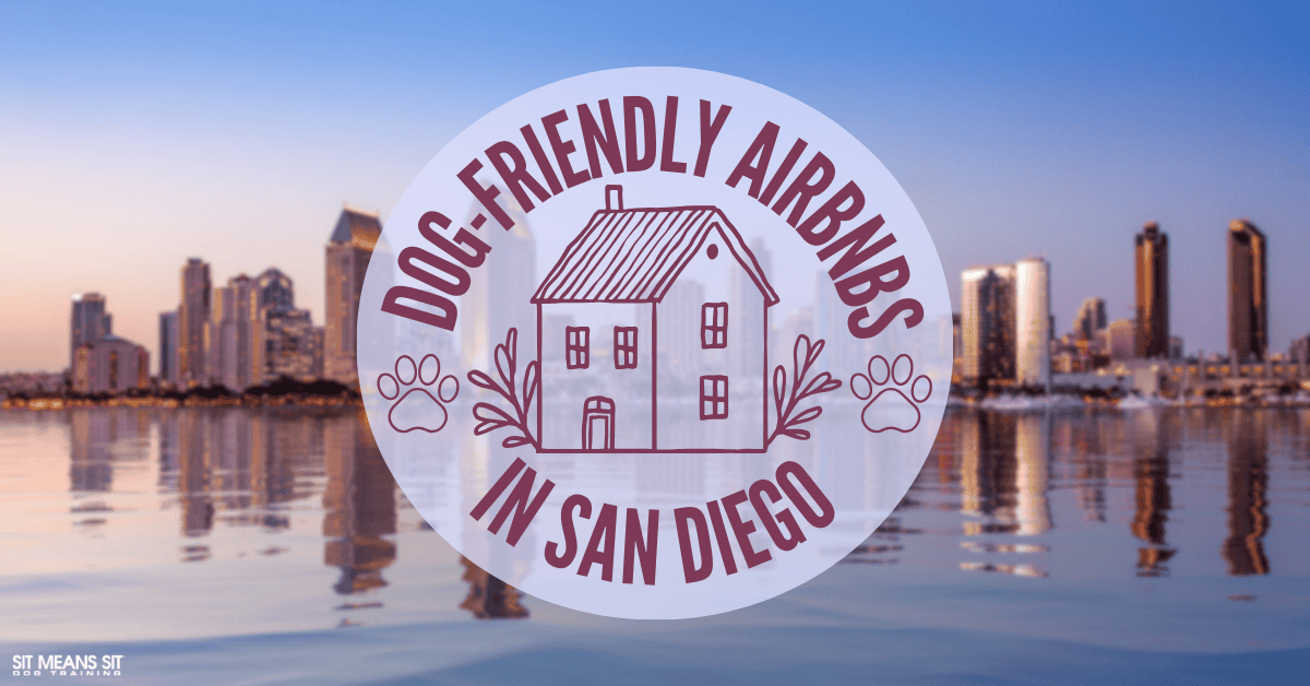 Dog-Friendly Airbnbs in San Diego