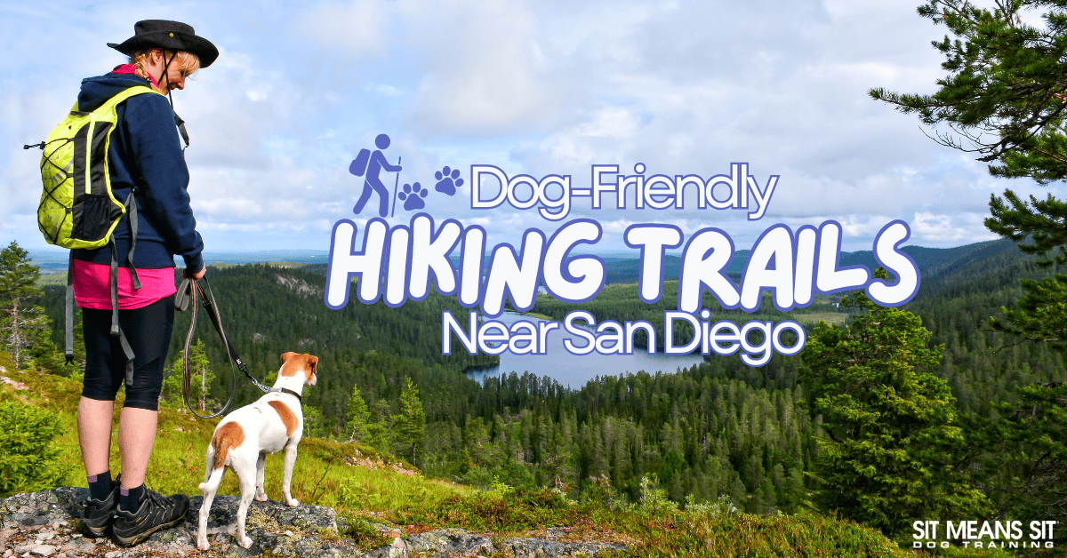 Dog-Friendly Hiking Trails Near San Diego