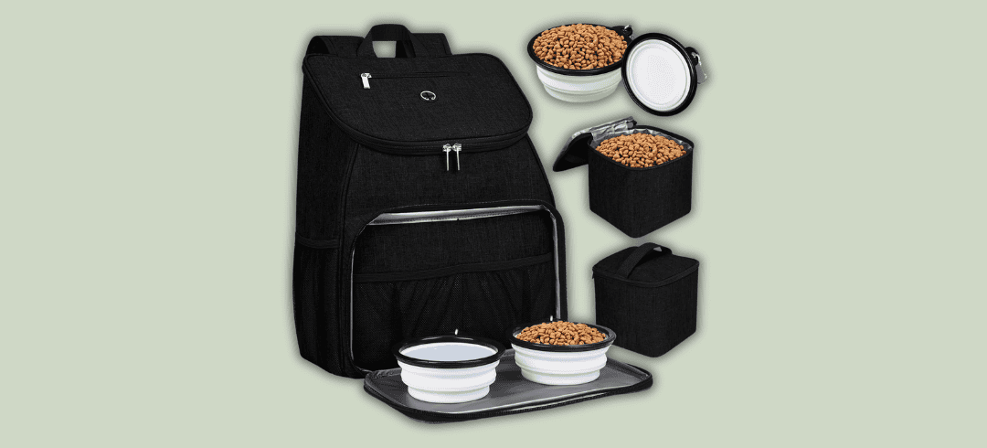 Going to the Dog Park? Don’t Forget These Essentials