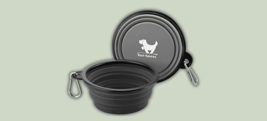 Going to the Dog Park? Don’t Forget These Essentials