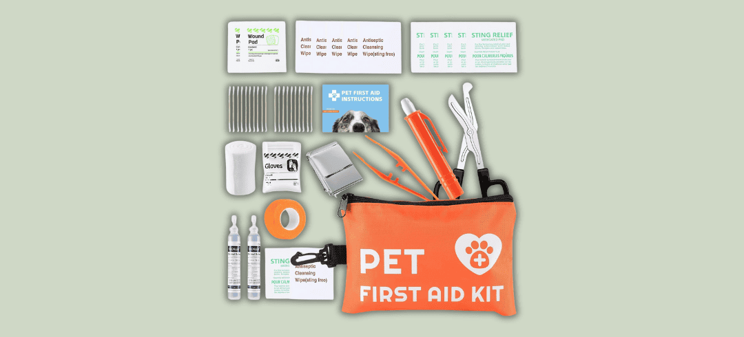 Going to the Dog Park? Don’t Forget These Essentials