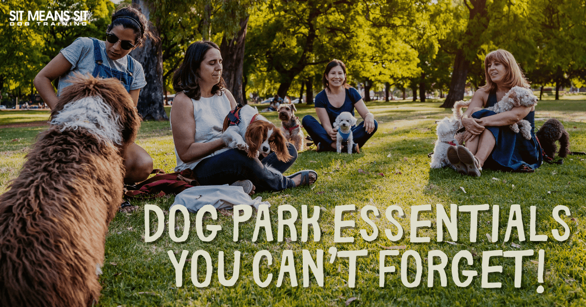 Going to the Dog Park? Don’t Forget These Essentials