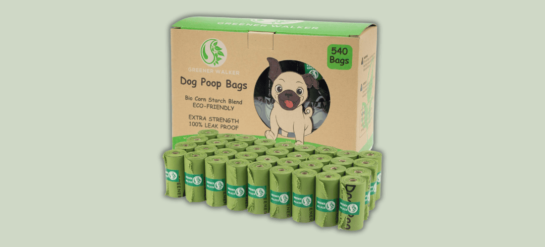 Going to the Dog Park? Don’t Forget These Essentials