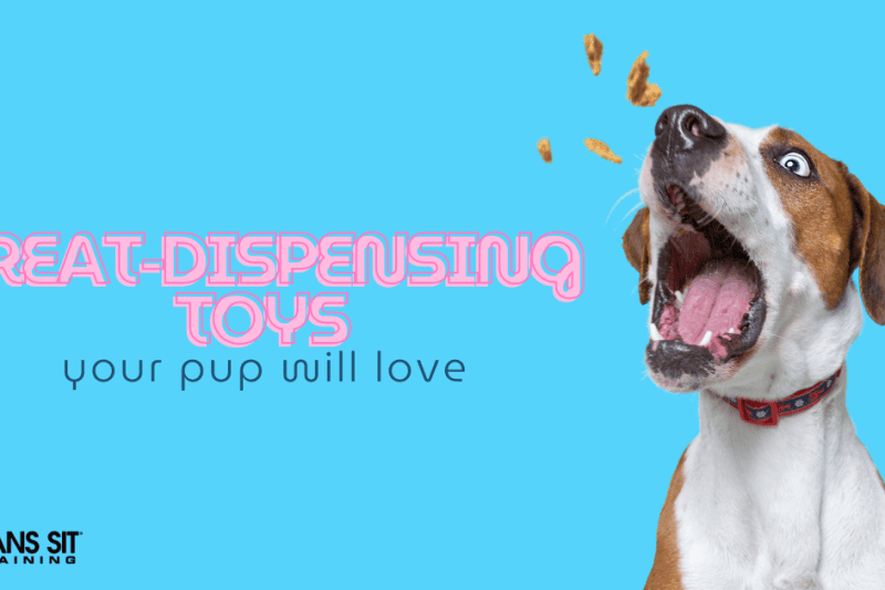 Treat-Dispensing Toys Your Dog Will Love